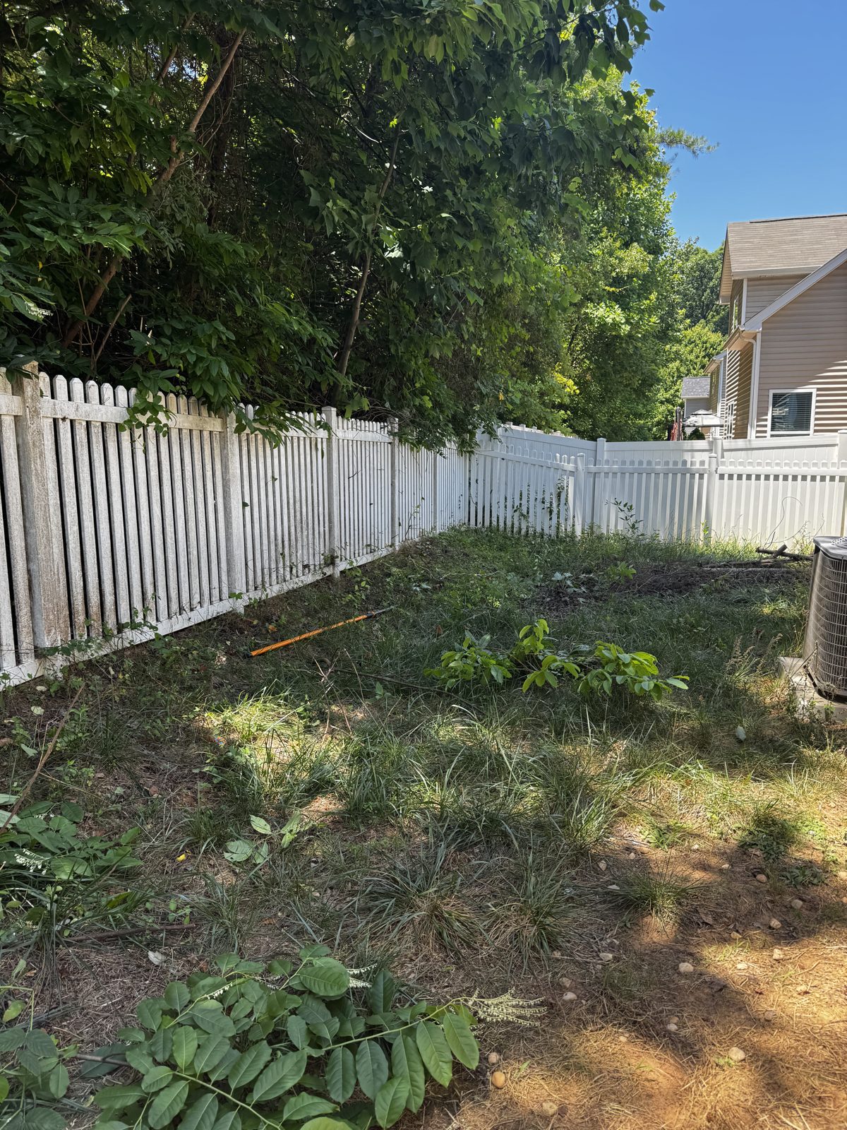 Sloped, washed-out backyard before renovation