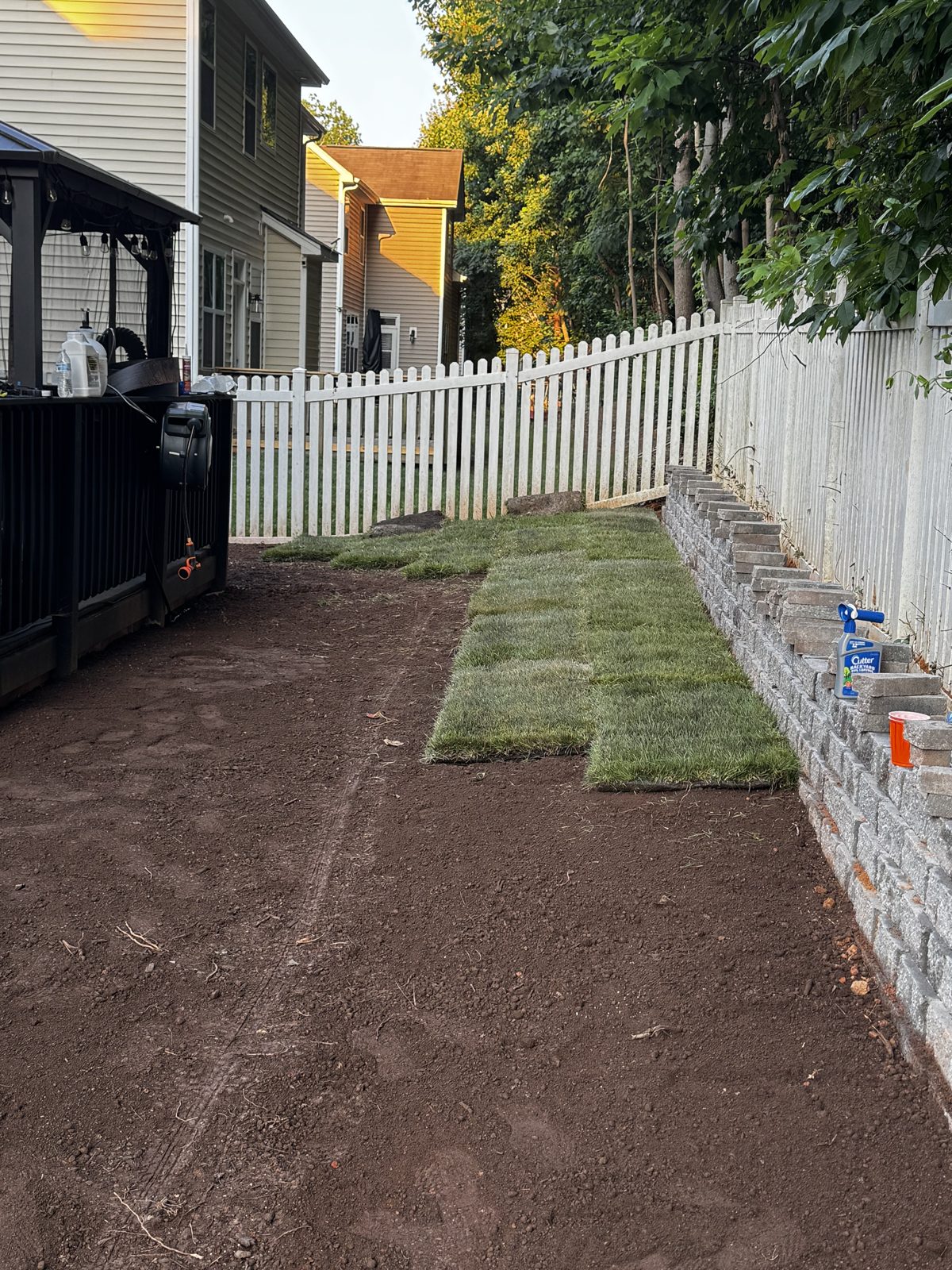 Fresh sod laid alongside the new paver path